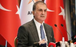 AKP’den sokak hayvanları açıklaması