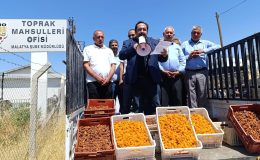 CHP’li başkan TMO önünde kayısı sattı