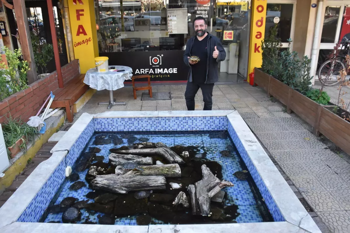 İzmir’de Kaplumbağalı Fotoğrafçı Fenomeni